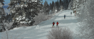 Winter and Snow Vocabulary in Russian DSCN2433