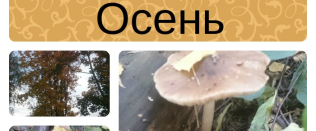 Russian Fall: Poetry, New Vocabulary, Crafts RussianFall